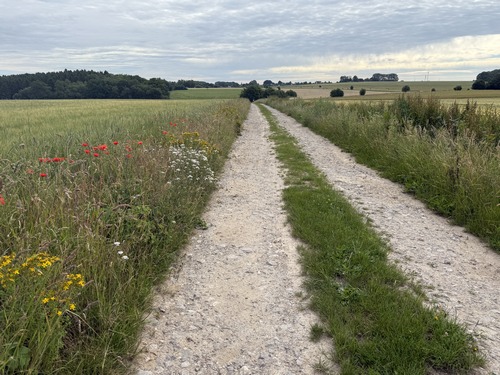 Nous quittons les bois pour suivre une deuxième partie de ce circuit très différente: les chemins des plaines.