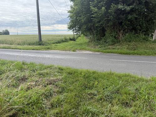 Nous traversons la route de Roncherolles et continuons en face.