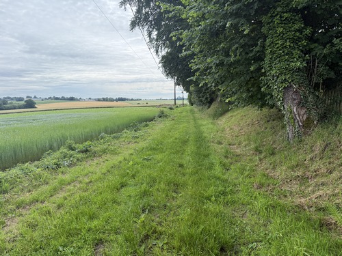 Nous longeons le hameau des Coutumes entre talus planté et lin en fleur.