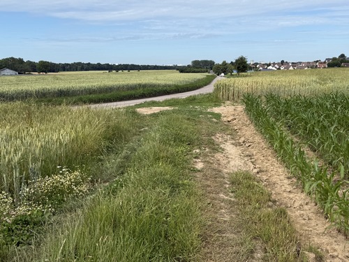Le chemin débouche sur la D91, qui se prolonge dans la rue de Quévreville, notre point de départ. Roncherolles est déjà bien visible.