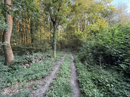 Au sommet se trouve un carrefour de plusieurs chemins, nous prenons le deuxième à partir de la gauche pour marcher vers le hameau du Mont-Perreux.