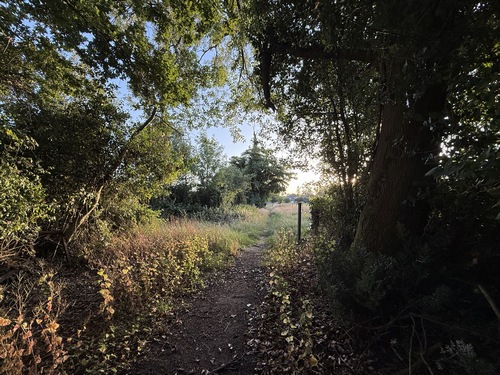 Le chemin sort du bois par une ancienne allée du château.
