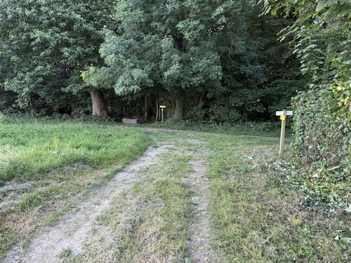 Nous retrouvons le GR25c en lisière des bois. Nous allons continuer à gauche vers la forêt communale de Fontaine-sous-Préaux.