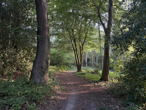 La commune de Fontaine-sous-Préaux a aménagé plusieurs chemins dans son bois. Ici nous sommes sur le chemin de l'Orée du Bois.