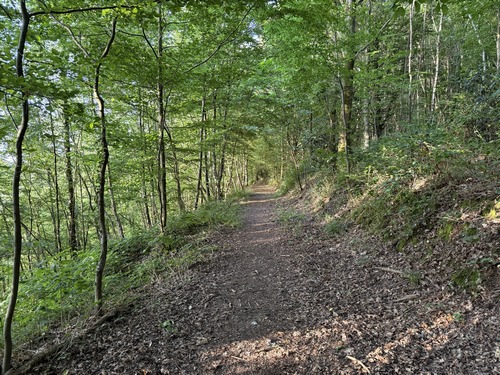Nous sommes maintenant sur le Chemin Vert et marchons vers le sud pour retrouver le GR25c.