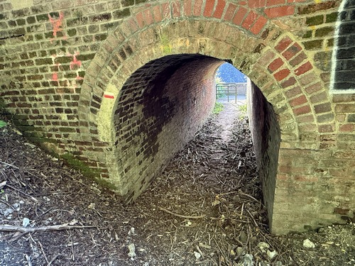 Nous avons retrouvé le GR qui passe ici sous la ligne de Saint-Roch à Darnétal.