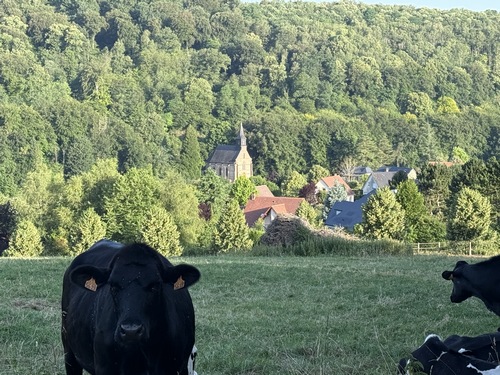Nous ne résistons pas au plaisir de faire un petit aller-retour sur le chemin de la Robinette pour aller chercher ce point de vue sur la vallée du Robec.