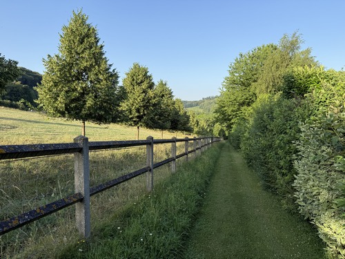Nous quittons le chemin de la Robinette pour suivre ce délicieux chemin aménagé par la commune (encore un) en contrebas du bois de Waddington (Bois privé).