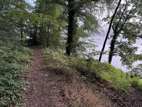 Juste après avoir traversé le lac, nous prenons le premier chemin à droite: le chemin du Bois des Vallées.