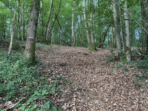 Le chemin du Bois des Vallées a conservé quelques balises de l'ancien tracé du GR36.