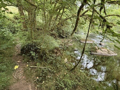 L'Orne coule vers les Gorges de Saint-Aubert.