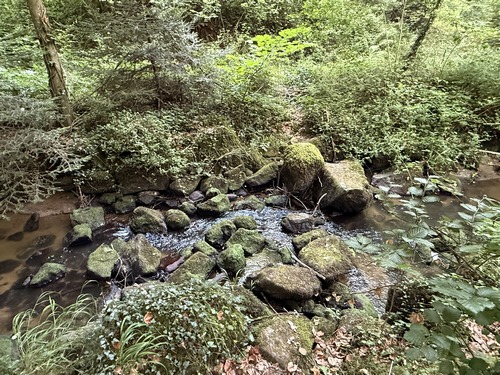 Nous avons quitté provisoirement les rives de l'Orne pour suivre le ruisseau de la Fontaine au Héron, et traversons le ruisseau ici pour suivre vers la gauche le chemin que l'on devine en face. D'après notre carte, nous aurions dû traverser le ruisseau plus tôt.