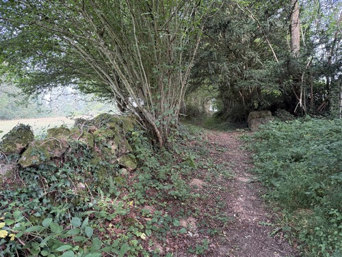 Nous allons bientôt quitter le chemin du Bois des Vallées pour suivre la route de la Fontaine au Héron, et retrouver la version officielle de ce circuit.