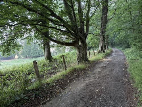 Tout de suite après la Trousserie, nous entrons sur le sentier du Vieux Saint-Aubert, ancienne voie d'accès au village lorsqu'il existait encore.