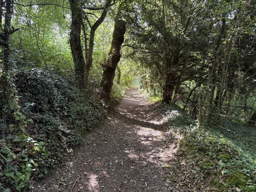 Chemin du Val Boisé.