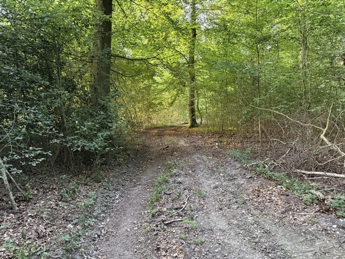 Entrée en forêt domaniale de Lyons.