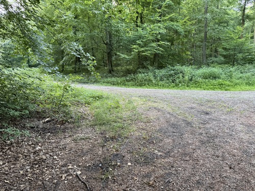 Sur le plateau, nous prenons à gauche la voie forestière de la Marlière au Roi. Ce massif forestier de la forêt domaniale est constitué de deux bois: la Marlière au Roi et les Pierres Cassées, séparés par la route du Fresnay.