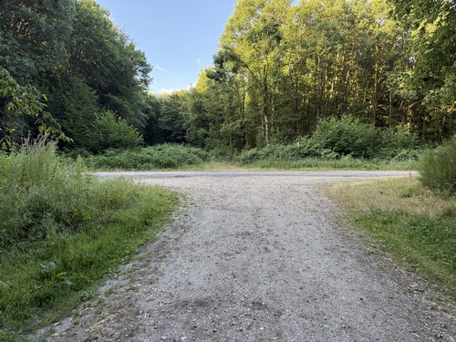 Nous allons traverser la route du Fresnay et entrer en face dans le bois des Pierres Cassées.