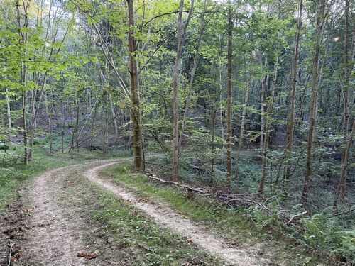 Notre chemin descend en ondulant vers la vallon.