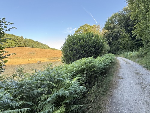 La voie forestière des Pierres Cassées tourne vers le nord en longeant la plaine du Mouchel.
