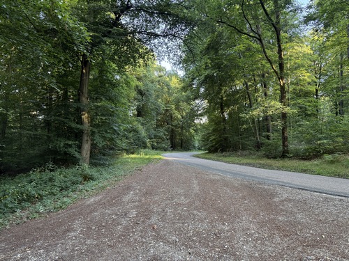 Nous rejoignons la route du Fresnay, que nous allons suivre sur quelques mètres avant de retrouver les chemins.