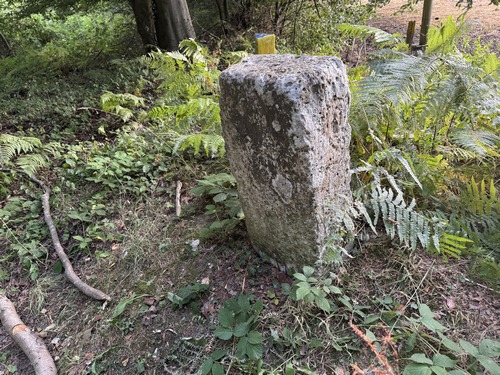 Borne royale sur la voie forestière du Calvaire. La fleur de lys s'efface avec le temps. Les éléments remarquables de ce circuit sont agrémentés de panneaux d'informations.