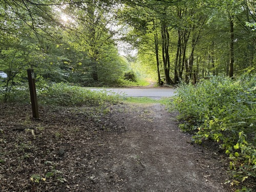 Nous allons traverser la route du Chêne à Leu et continuer en face. Attention aux enfants: c'est une route assez fréquentée. En face, sur le chemin, se trouve le seul passage de ce circuit qui peut être boueux en période humide.