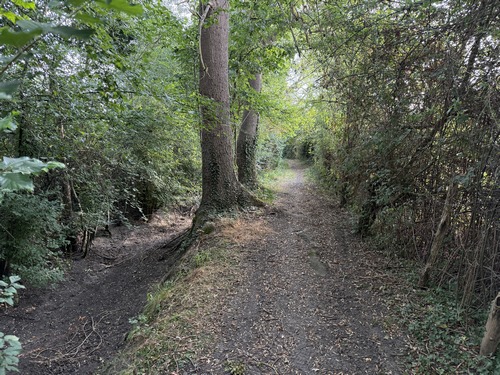 Le chemin longe un fossé drainant qui permet de rester au sec en toute saison.