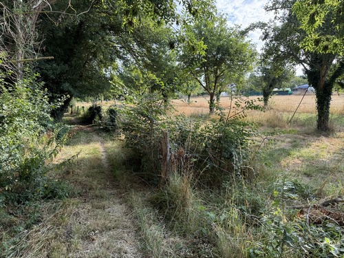 Les paysages sont variés et le chemin reste à l'ombre.