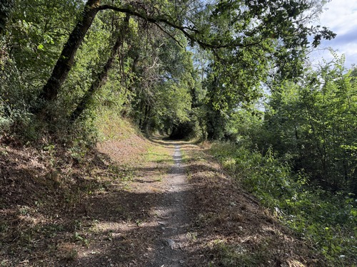 Nous marchons sur le délicieux chemin ombragé qui longe l'Orne. Nous sommes au Grand Mesnil, sous une ancienne enceinte retranchée appelée le Camp des Romains.