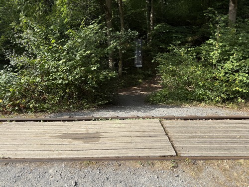 Tout de suite après le viaduc, un chemin redescend au niveau de la rivière.