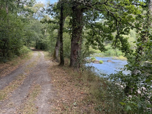 Après une pause à la table de pique-nique près de la chapelle, nous reprenons la randonnée dans cette belle forêt de Grimbosq le long de l'Orne.