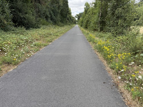 Nous marchons entre les carottes sauvages et les séneçons jacobées.