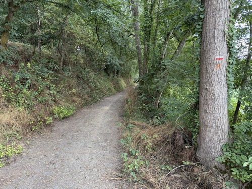 Tout de suite après le pont, nous suivons la variante du GR36 qui remonte vers le plateau.