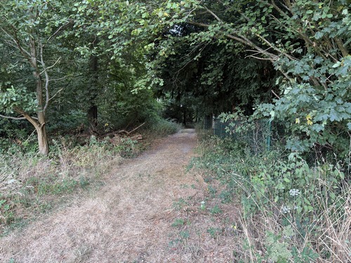Traversée rapide de la pointe est du bois de Vatteville.