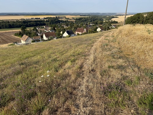 Nous dominons la rue d'Aumare de Daubeuf-près-Vatteville. Dès que nous la rejoindrons nous marcherons vers l'est en direction du bois des Hazis.