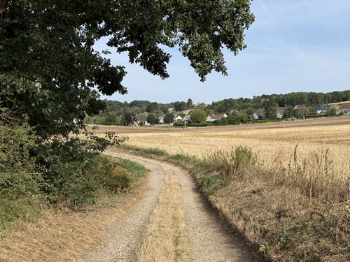 Dès la sortie du bois, nous voyons les premières maisons de Daubeuf-près-Vatteville.