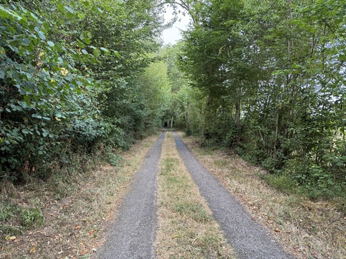 En lisière de la forêt, nous tournons à gauche sur le chemin du château du Tilleul, une voie sans issue.