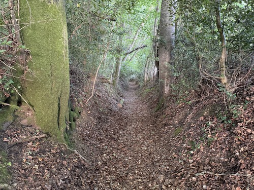 A l'entrée du domaine du château (le château est invisible, trop éloigné du chemin), nous tournons sur ce charmant chemin creux qui descend vers le ruisseau du Tilleul.