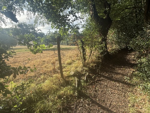 Le chemin avance maintenant en lisière du bois d'Ecots, en ouvrant la perspective sur le bocage. (Regard arrière).