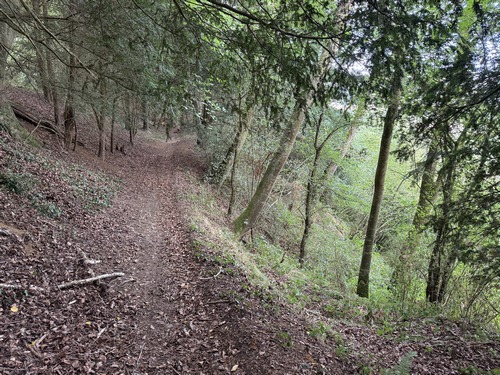 Descente vers la vallée de l'Oudon et le village d'Ecots.