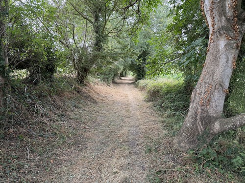 A la sortie d'Ecots nous retrouvons les chemins. Celui-ci longe l'Oudon de loin. Encore une fois, les chemins sont tondus et les talus taillés.