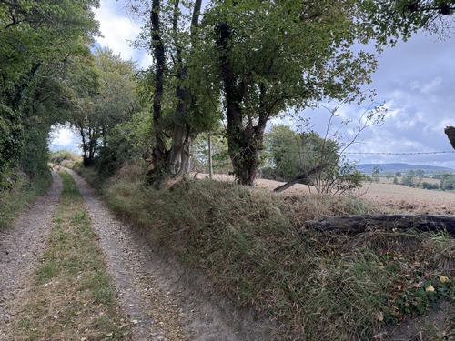 Nous montons vers Croquemain. Les montées de ce circuit sont plutôt douces... sauf la dernière.