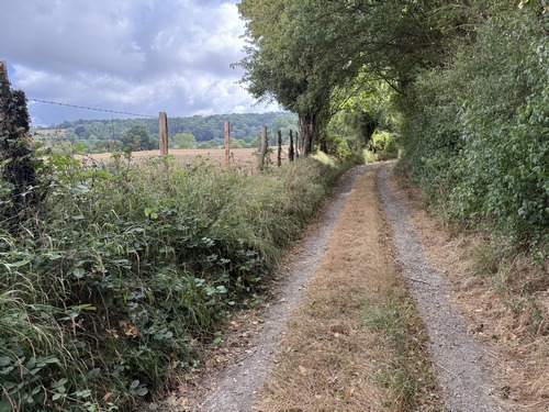Chemin de la Ruette (regard arrière).