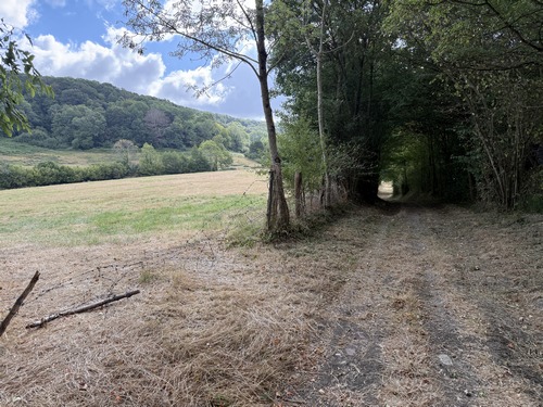 Nous apercevons déjà, à gauche, le bois de Malicorne de la forêt de Montpinçon.
