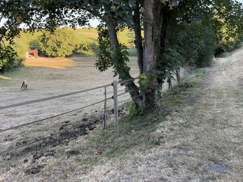 Nous quittons ici la rue de la Vierge du Moulin pour suivre ce chemin qui contourne le pré.