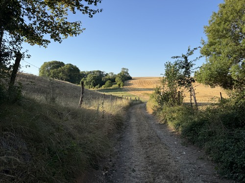 Au Londe, un chemin de plaine prend la direction de Daubeuf-près-Vatteville.