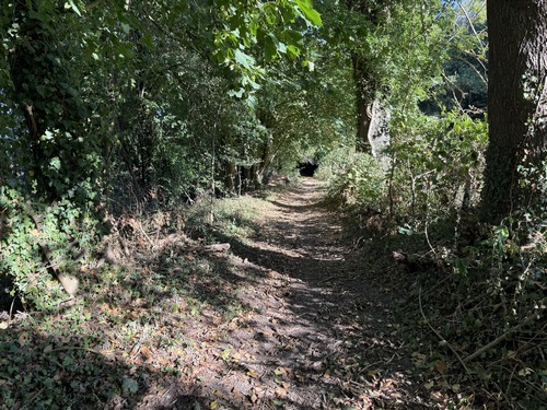Au niveau du bois du Parc, le chemin a repris son aspect normal. En fait, il avait repris cet aspect bien avant, mais nous avions continué en bordure du champ.