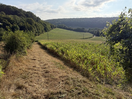 La rue du Fol Accard devient chemin après la dernière maison et redescend vers la vallée.