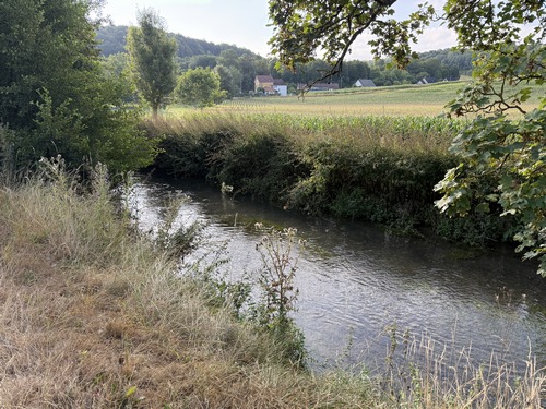 L'eau de la Lieure est claire et donne envie d'y tremper les pieds...